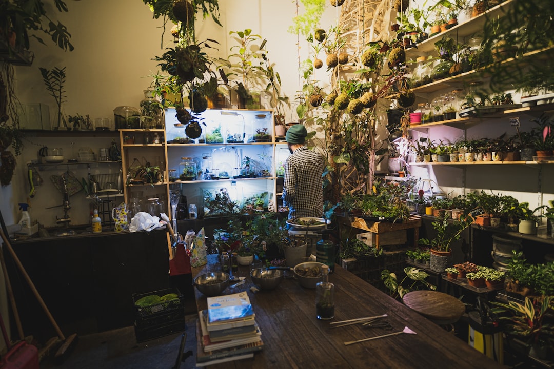 Floristería Nicoly — Floristería en Coslada
