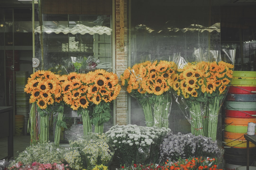 Floristería Nicoly — Floristería en Coslada